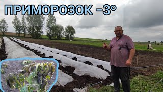 ПРИМОРОЗОК що ми робимо! Передають -5 морозу на грунті. Ви накрили розсаду?