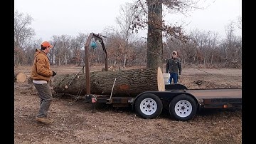 Log arch fun. 3800# oak log😃