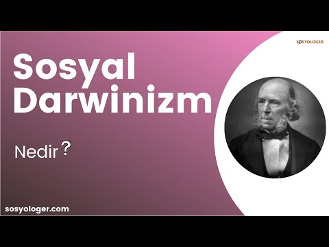 Sosyal Darwinizm Nedir?