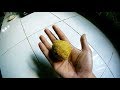 Umpan Ikan Wader dan Nilem JOSS Jaminan Dapat Seember