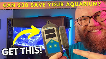 Is a heater controller necessary for a reef tank or aquarium? Find out!