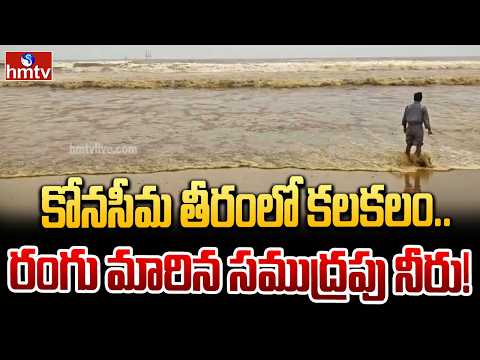 కోనసీమ తీరంలో కలకలం..రంగు మారిన సముద్రపు నీరు!! | Keshanapally | hmtv - HMTVNEWS