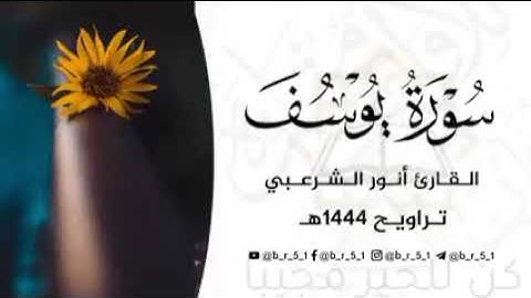 سورة يوسف/ القارئ :انور بن سعيد الشرعبي