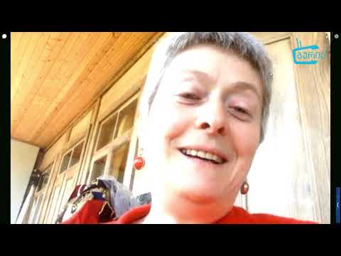 გურიის ახალი ამბების სპეციალური გამოშვება -  28. 04. 2020