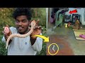 Remote Control Snake Toy Unboxing And 🤣 Prank My Family 😂 | Mr.Suncity Vlog...