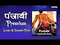 Premium punjabi samples pack 2024  rax prod