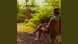 Insect Rhythms in the Office