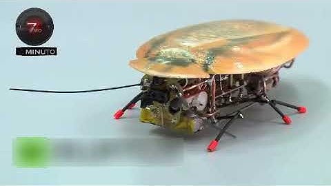 Robot cucaracha para salvar vidas