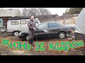 Жизнь за кадром. Обычные будни. (часть 295) (04.21г.) VLOG. Семья Бровченко.