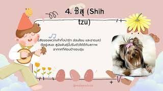 สัตว์เลี้ยงที่ฉันชอบ screenshot 1