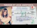 theories of local anesthesia (malamed)