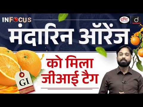 Darjeeling Mandarin Orange Gets GI Tag | Boost to Farmers & Heritage | In Focus | Drishti IAS
