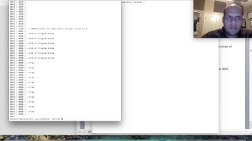 Vulture Platform Computer - Brito