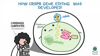 How CRISPR Gene Editing Was Developed!