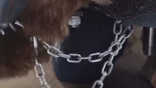 Smokey Bear - Chains & Dry Grass (2016, USA)
