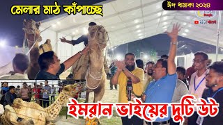 সাদিক এগ্রো ইমরান ভাইয়ের দুটি উট এসেছে মেলার মাঠ কাঁপাতে! গরু মেলা 2024