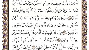 سورة يوسف الصفحة 238 من القران للشيخ ياسر الدوسري
