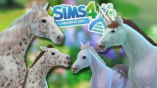 Some REVEALING Experiments in Sims 4 Horse Genetics!!🐴💕🧬🐴
