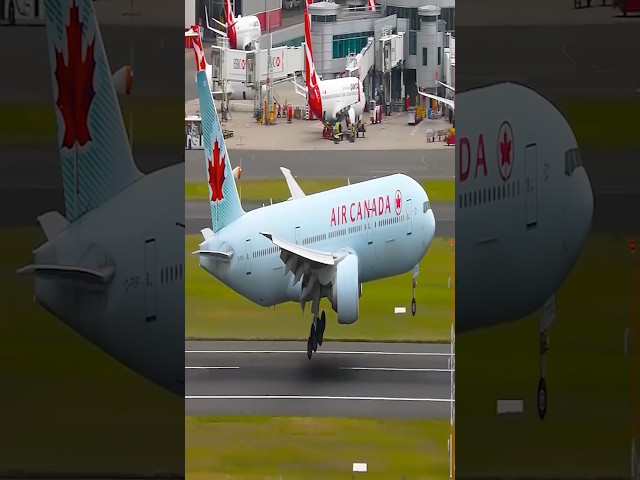 Wide Airplane Landing