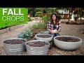 Growing Fall Crops in 10 Steps // Garden Answer