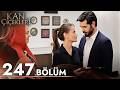 Kan Çiçekleri 247 Bölüm 