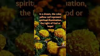 The Meaning of Yellow in a Dream!