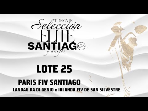Lote 25   Paris FIV Santiago