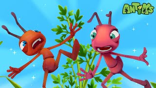 Antiks | Ant Farm! | Funny Cartoons For Kids | Oddbods & Friends