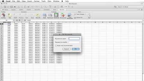 How to Set a Password to an Excel File
