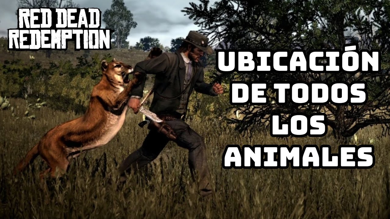 Este mapa te ayudará a completar al 100% Red Dead Redemption 2