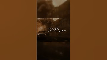 Surat Al Zalzalah سورة الزلزلة. quranic insights