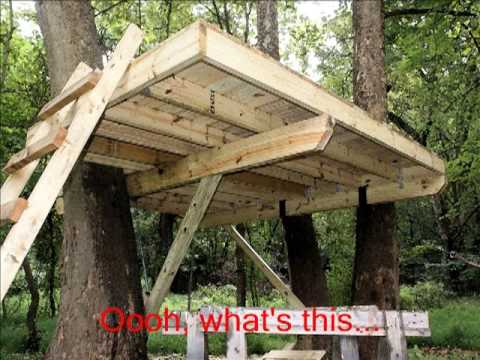 Building a Treehouse