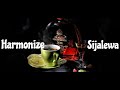 Harmonize - Sijalewa (Video Lyrics)