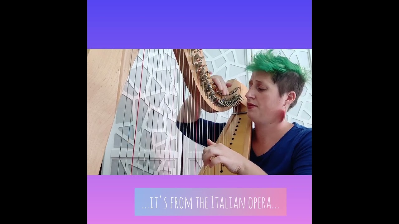 I love my new repertoire!😍🎵🎶 do you recognize this tune?