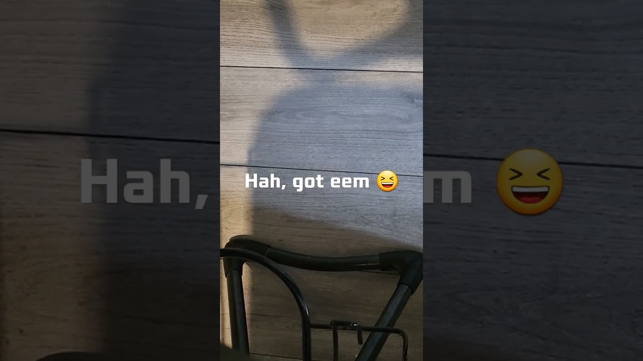 Would you ever wanna try bofa?