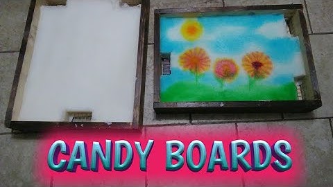 Making Candy Boards for Honeybees 🍭🐝#Beekeeping #Bees #Candy