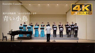 混声合唱曲集「からたちの花」より『青い小鳥』 川路柳虹 詞