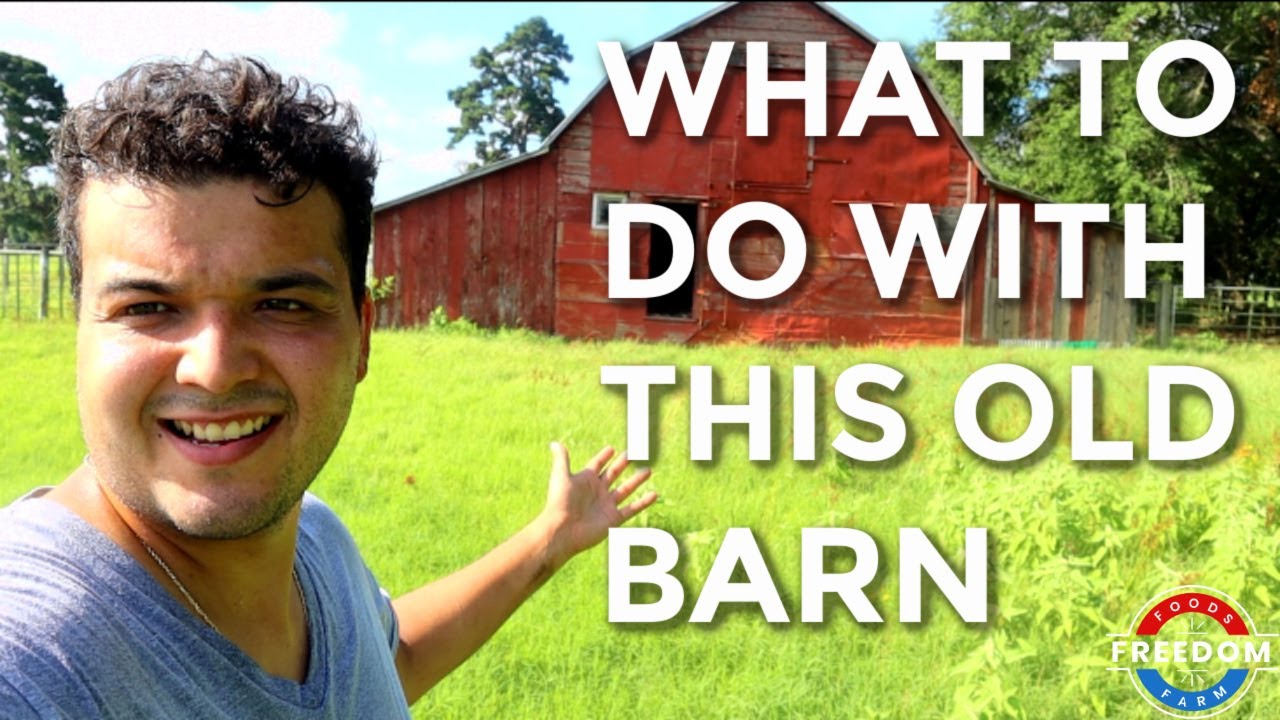 What Are We Going To Do With This OLD BARN!?!? - YouTube