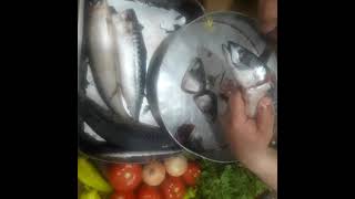 تنظيف سمك الما كريل بطريقة ( السنجاري )