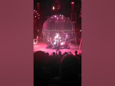 Цирк демидовых видео. Цирк демидовых улан-удэ 2024. Цирк демидовых новороссийск. Цирк шоу шапито демидовых. Цирк братьев демидовых.