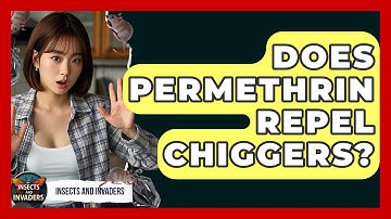 Does Permethrin Repel Chiggers? - Insects and Invaders