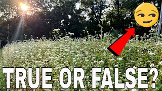 Planting Spring/Summer Food Plots Is A Waste Of Time?