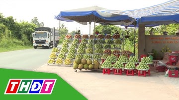 Nhiều kệ xoài Cao Lãnh dọc theo QL30 đắt hàng | THDT