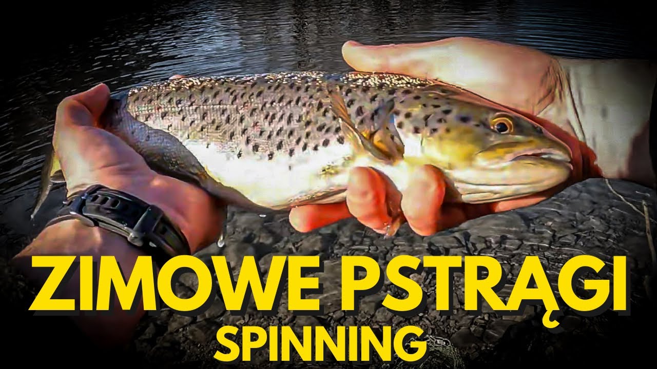 Zimowe łowienie pstrąga na spinning – co naprawdę działa?