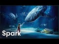 How The French Built The Largest Aquarium In Europe [4K] | Aquarium Megastructure: Nausicaá | Spark