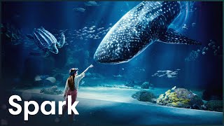 How The French Built The Largest Aquarium In Europe [4K] | Aquarium Megastructure: Nausicaá | Spark