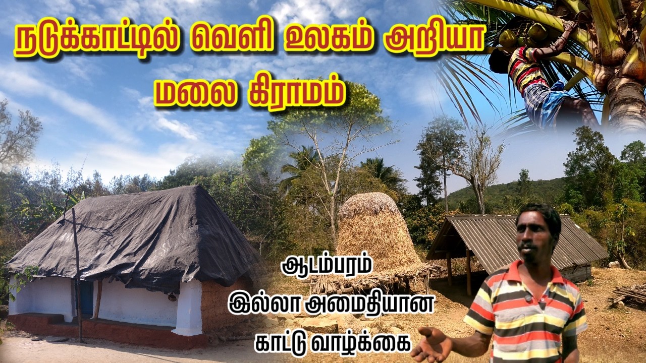 நடு காட்டில் வெளி உலகம் தெரியாத மலை கிராமம் | ஆடம்பரம் இல்லாத நிம்மதியான வாழ்க்கை | Peace full life|