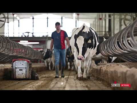 Miniatuur van productvideo