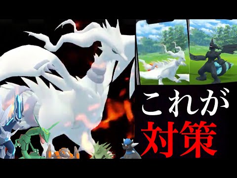 ポケモンgo 最強レシラムの対策ポケモンは 伝説史上の火力ランキングトップクラスがついにやってきた キュレム ゼクロム テラキオンレイドアワー 長さ 10 59 動画ニュース