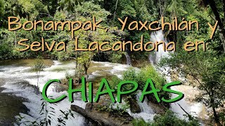 ¿Cómo ir a Bonampak, Yaxchilán y la Selva Lacandona? ¿Cuánto cuesta un tour en Chiapas?